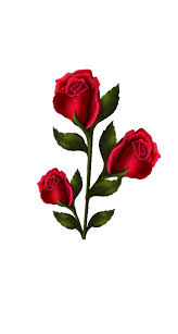 Share the best gifs now >>> Edited At Https Lunapic Com Beautiful Photos Of Nature Beautiful Flowers Wallpapers Beautiful Rose Flowers