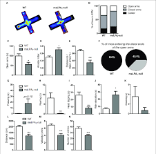 Epm is listed in the world's largest and most authoritative dictionary database of abbreviations and acronyms. Behavioral Test Using The Epm A Composite Map Of All Paths Download Scientific Diagram