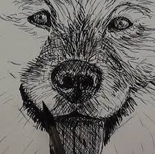 Jun 14, 2019 · download our apps and get even more experiences right in your phone. How To Draw A Long Haired Dog In Pen And Ink Online Art Lessons