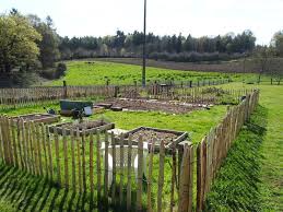 Comment Debuter Un Nouveau Potager Potager Jardins Et Potager Cloture