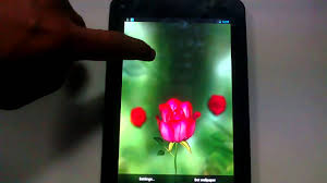 Search free wallpapers, ringtones and notifications on zedge and personalize your phone to suit you. 360 Degrees Flower Live Wallpaper Youtube