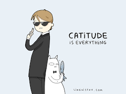 For cat people by chelsea alvarez. 8 Cat Puns That Will Make Your Day Bored Panda