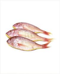 Kali ini saya meluangkan masa melakukan hobi yang paling saya gemari. Fish