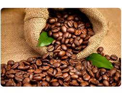 Fresh High Quality Kopi Beans Coffee Beans Beans Coffee Plant