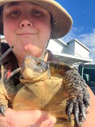 How come no one ask about where the “past turtles” went? Like they just  up'ed and left with Fugitoid to stay in space forever? Talk about “future  me's problem.” It drives me