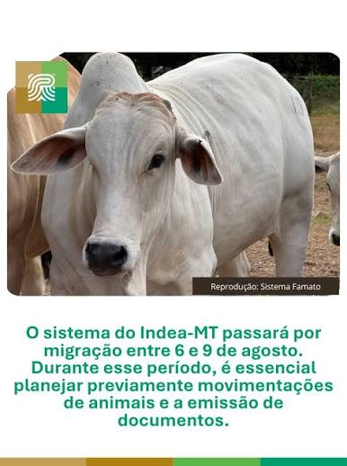 🚨 Aten&ccedil;&atilde;o, produtores rurais de MT! Entre os dias 6 e 9 de agosto, o sistema do Indea-MT (Sindesa) estar&aacute; em migra&ccedil;&atilde;o e ficar&aacute; indispon&iacute;vel. 👉 Planeje com anteced&ecirc;ncia: Emita suas GTAs