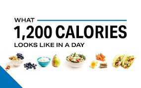 Enter custom recipes and notes of your own. What The 1 200 Calorie Diet Looks Like Infographic Weight Loss Myfitnesspal
