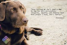 We are here to if you are visiting our page prior to the loss of your loved one, feel free to reach out and request a. The Pet Loss Center Twitterren Never Just An Animal How Many Of You Can Relate Plc Honorthejourney Honoringthejourney