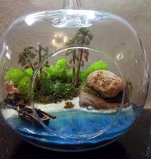 Selami Aksu Terrarium Adana Minyatur Bahceler Terrarium Bahce