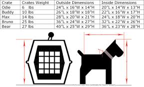 Dachshund Crate Size Goldenacresdogs Com