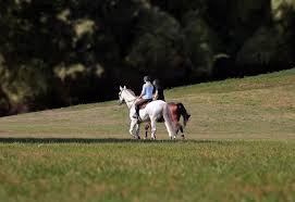 If so, enjoy these video stills from my collection of guys tied up or bound in movies and tv shows. How To Ride A Horse For Beginners Basics Safety Mistakes