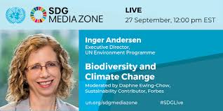 Join UN Environment Executive Director, Inger Andersen, as she is  interviewed