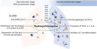 Image result for Hydroxychloroquine