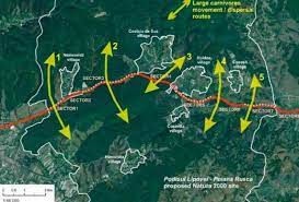 Contractul are o valoare de circa 1,65 milioane de lei. UrÈ™ii BlocheazÄƒ Autostrada Lugoj Deva Tronsonul Din Autostrada A1 Se Deschide Abia In 2020 Libertatea