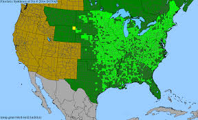 Image result for Amphicarpaea africana