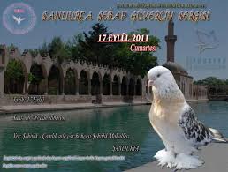 Sebap Guvercin Federasyonu