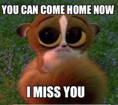 20 Really Sweet Thinking Of You Memes Sayingimages Com Hug Gif Animated Animals Penguins Of Madagascar