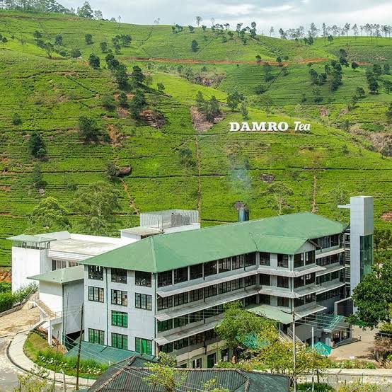 Tea Factory