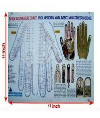 Details About Su Jok Correspondence Chart For Quick Study Educational