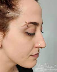 Lauren S Collection Of Piercings Done By La Sorciere Verte Are So Fierce Check Out This Fresh Eyebrow Eyebrow Piercing Eyebrow Piercing Jewelry Eyebrow Ring