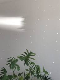 I fiori pendenti sono quelli più decorativi per il balcone e per il terrazzo: Piante Da Appartamento Resistenti Al Buio Scopri La Selezione