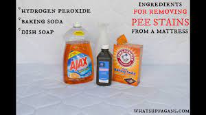 Put undiluted white distilled vinegar in a spray bottle and dampen the stained area with it. Cat Pee Smell In Mattress Online