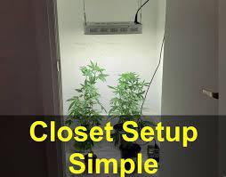 Closet Hydroponic Setup 2021 How To Turn A Closet Into A Grow Room 420 Big Bud