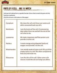 Parts Of A Cell Mix N Match 5th Grade Science Worksheet Science Worksheets Free Science Printables Science