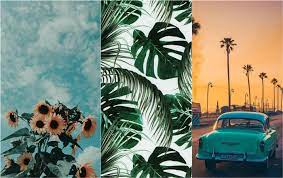 Iphone xs max iphone x / xs iphone 6s+/7+/8+ iphone 6/6s/7/8. 29 Summer Iphone Wallpaper Ideas To Obsess Over Fancy Ideas About Everything