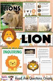 All About Lions Nonfiction Unit Lion Facts For Kids Fun Facts About Lions Facts For Kids