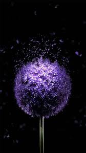 200 Samsung Galaxy A6 Wallpapers Cool Backgrounds In 2020 Nature Iphone Wallpaper Purple Wallpaper Flower Wallpaper