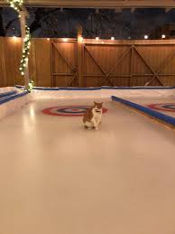 Check spelling or type a new query. Kaiser Tiger On Twitter Looking For The Purrrfect Teambuilding Activity This Winter Let Our Curling Master Not Pictured Show Your Team A Good Time Https T Co Zrezulpqqb Winterinchicago Curling Catsoftwitter Https T Co Rjk1pjdm38