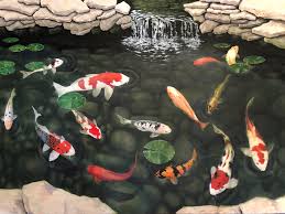 Koi ponds are ponds used for holding koi, usually as part of a landscape. Koi Pond