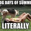 It's the last full month of summer and we've packed the 31 days with tons of events! 1