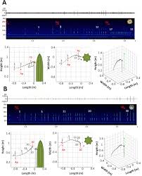 If you have a small bird, he/she may be able to join you in the cabin. Examples Of Flight And Echolocation Behavior Spectrograms Of A Single Download Scientific Diagram