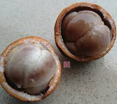 Image result for Landolphia owariensis