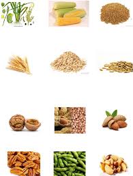 We did not find results for: Serealia Kacang Kacangan Umbi Umbian Docx Document