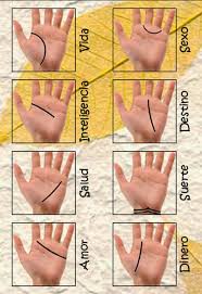 El Significado De Las Lineas De Las Manos Nueva Mentes Leer La Mano Lineas De La Mano Lectura De Mano