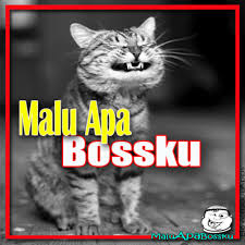 The meaning in english is do not be ashamed. About Malu Apa Bossku Photo Sticker Frame Google Play Version Malu Apa Bossku Photo Google Play Apptopia