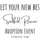 Adoption event at Pet Supplies Plus in Telford event image