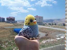 amigurumi sevimli muhabbet kusu yapimi muhabbet kuslari amigurumi tig isleri