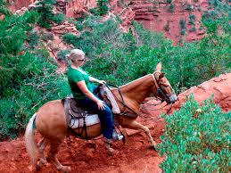 Find & book the best things to do, tours, activities, excursions & more. Bryce Canyon Horseback Mule Ride 2 Hour Tracks Trails