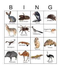 Desert Animals Bingo Card