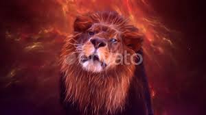 Lion live wallpaper is fully interactive, all objects react to your touch. Lion Iphone Wallpaper Lion Roaring Animation Li Animation Iphone Lion Roa Animal Lion Wallpaper Iphone Lion Wallpaper Lion Live Wallpaper