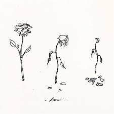 Just A Drink Drawing Draw Disegnetto Disegno Mine Sketch Ink Blackink Black Blackandwhite Proces Roses Drawing Rose Drawing Tattoo Rose Sketch