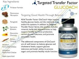 4life Targeted Transfer Factor Glucoach Http Www 4life4me Com Endocrine System Endocrine 4life