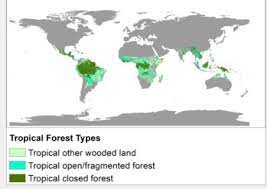 The tropical rainforests are mostly found within 10 degrees north or south of the equator where the temperature is hot all year round and the rainfall can be heavy temperate rainforests are found in areas of heavy rainfall close to the coast. Tropical Forest Wikipedia