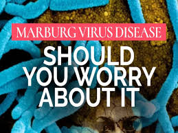 Marburg virus outbreak in Ghana: What you need to know | Science | In-depth reporting on science and technology | DW