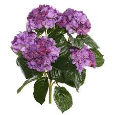 Check spelling or type a new query. Vickerman 17 5 Artificial Lavender Polyester Hydrangea Bush Target
