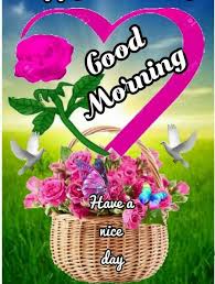 Check spelling or type a new query. Good Morning Video Kannada Share Chat Hutomo